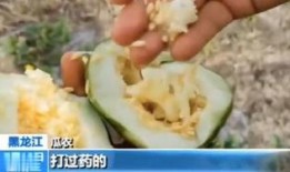 平邑吃瓜最新事件爆料,揭秘背后惊人真相，网络热议持续升温