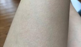 吃鸡皮肤返厂爆料最新,吃鸡皮肤返厂大揭秘，全新设计即将亮相！